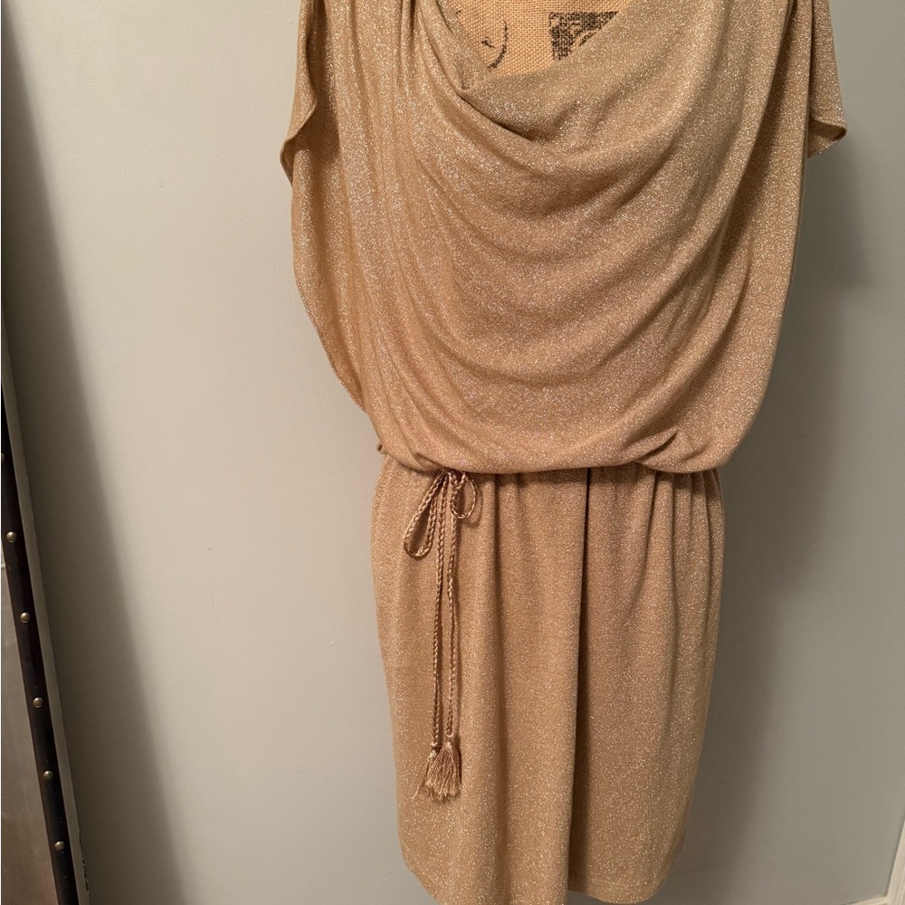 Nine & Co. Tan Dolman Sleeve Mini Dress